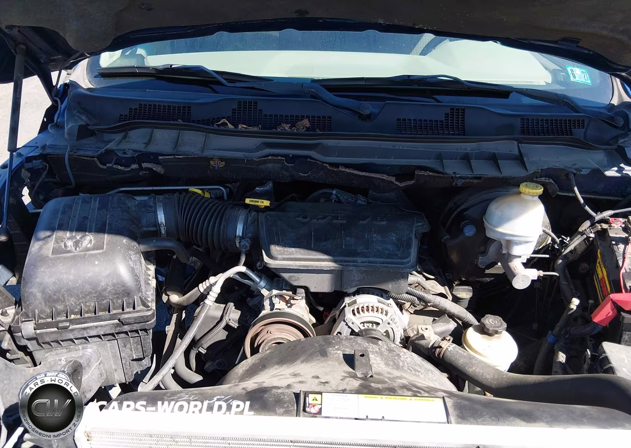 2010 Dodge Ram 1500 Slt-Sport-Trx VIN:1D7RV1GP3AS256503 - 10