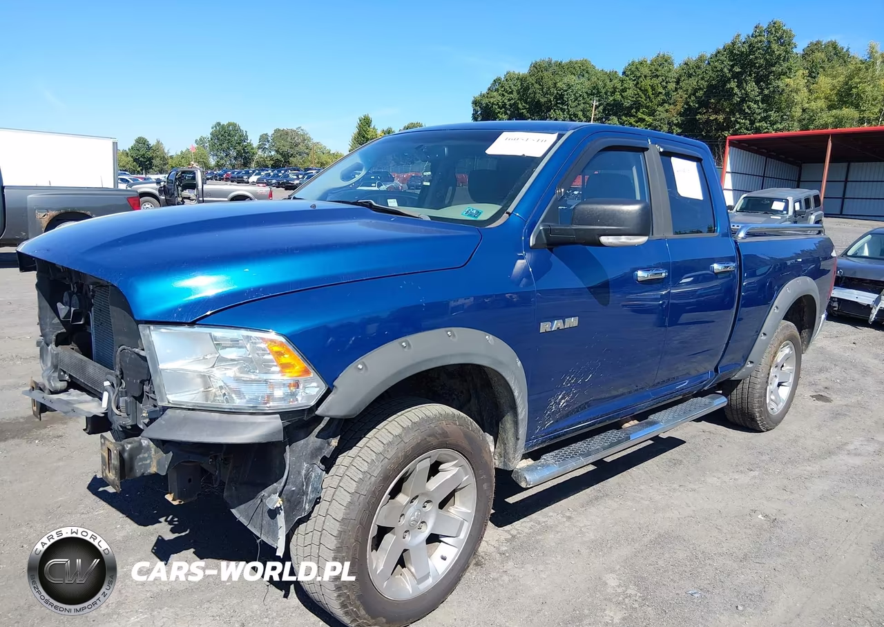 2010 Dodge Ram 1500 Slt-Sport-Trx VIN:1D7RV1GP3AS256503 - 2