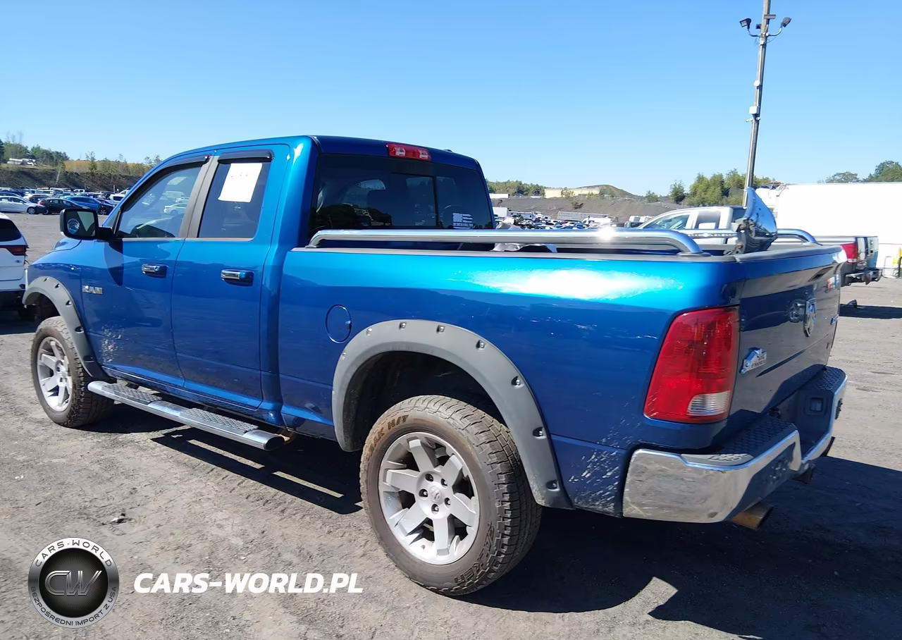 2010 Dodge Ram 1500 Slt-Sport-Trx VIN:1D7RV1GP3AS256503 - 3