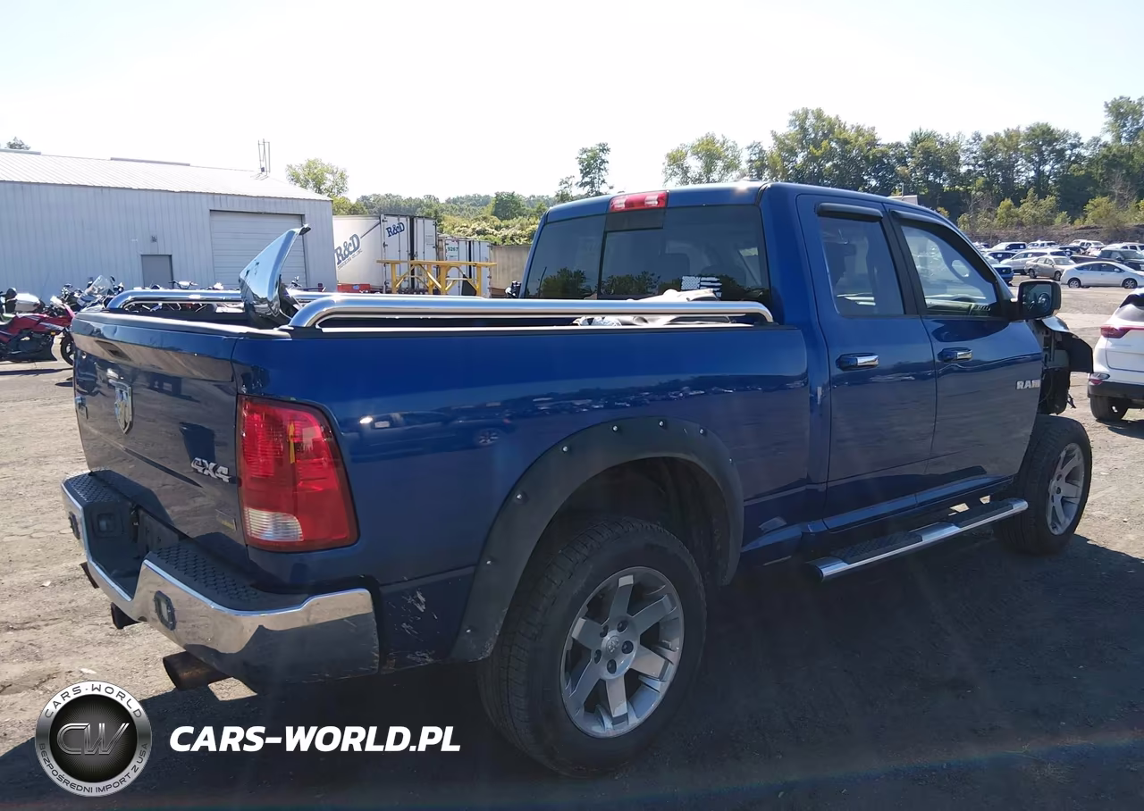 2010 Dodge Ram 1500 Slt-Sport-Trx VIN:1D7RV1GP3AS256503 - 4