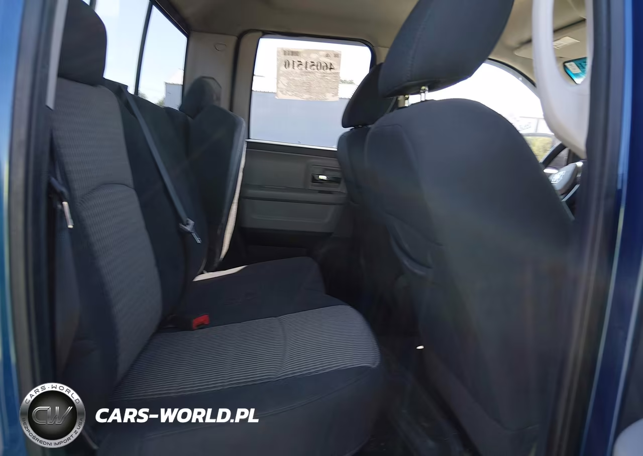 2010 Dodge Ram 1500 Slt-Sport-Trx VIN:1D7RV1GP3AS256503 - 8