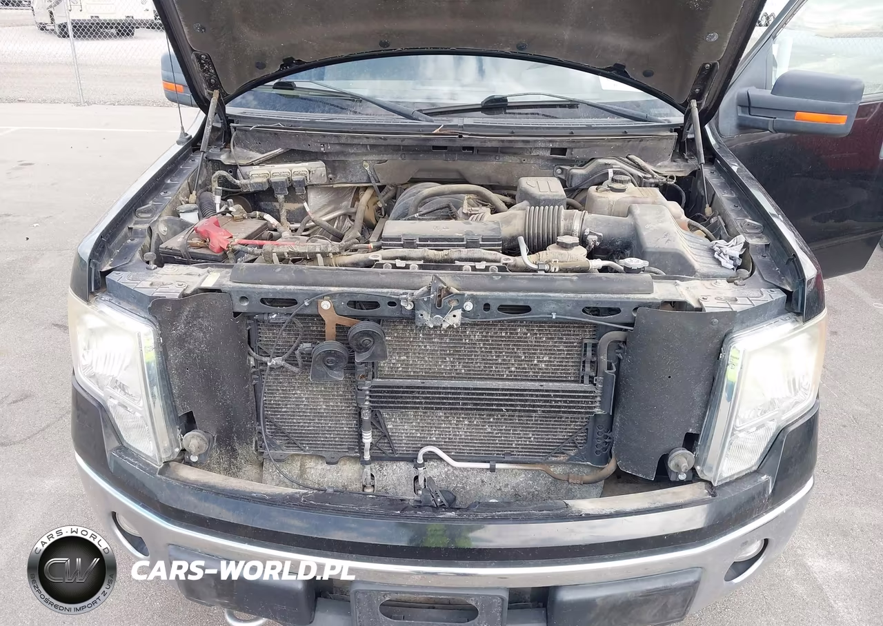 2010 Ford F-150 Stx-Xl-Xlt VIN:1FTEX1E86AKA77094 - 10