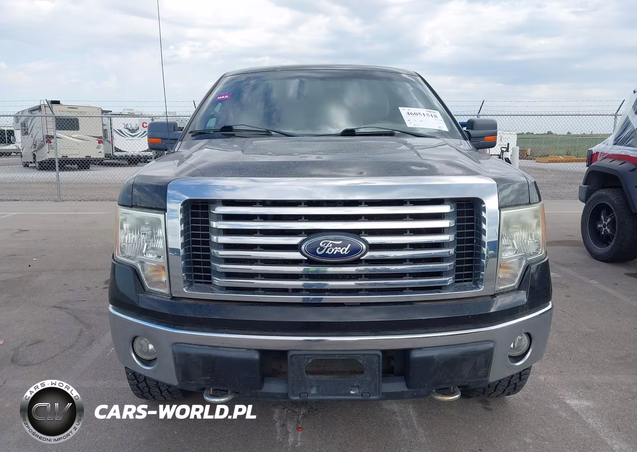 2010 Ford F-150 Stx-Xl-Xlt VIN:1FTEX1E86AKA77094 - 12