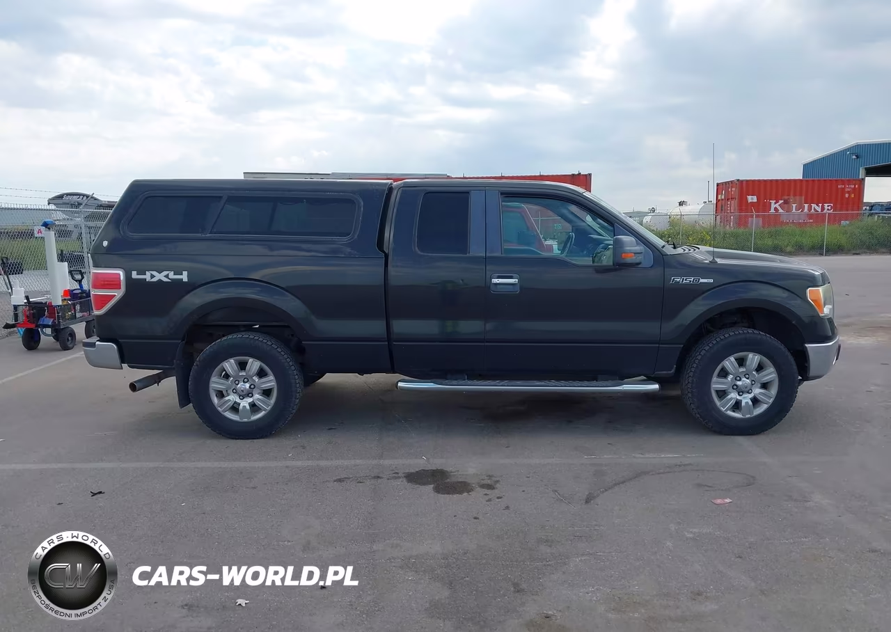 2010 Ford F-150 Stx-Xl-Xlt VIN:1FTEX1E86AKA77094 - 13
