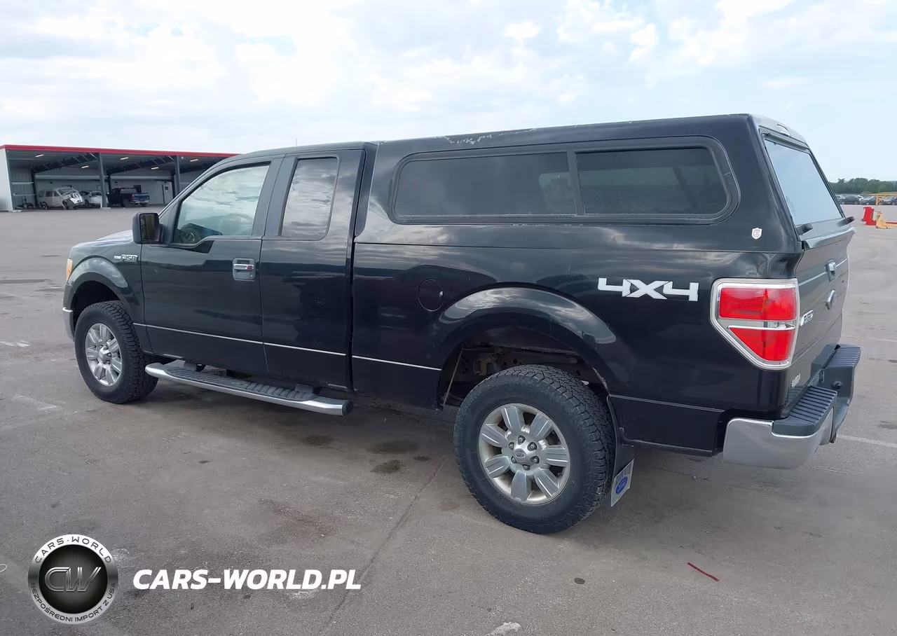 2010 Ford F-150 Stx-Xl-Xlt VIN:1FTEX1E86AKA77094 - 14