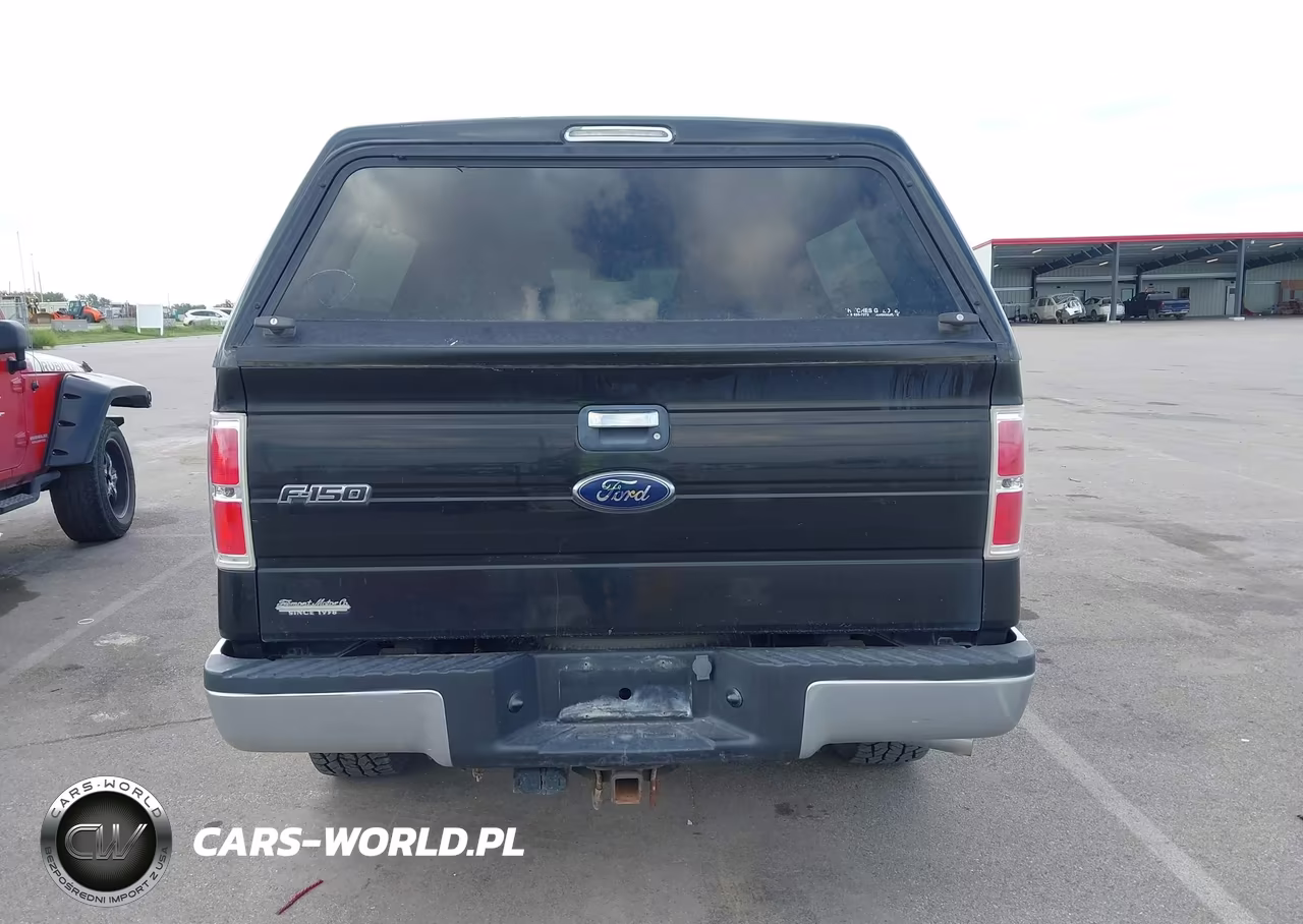2010 Ford F-150 Stx-Xl-Xlt VIN:1FTEX1E86AKA77094 - 16