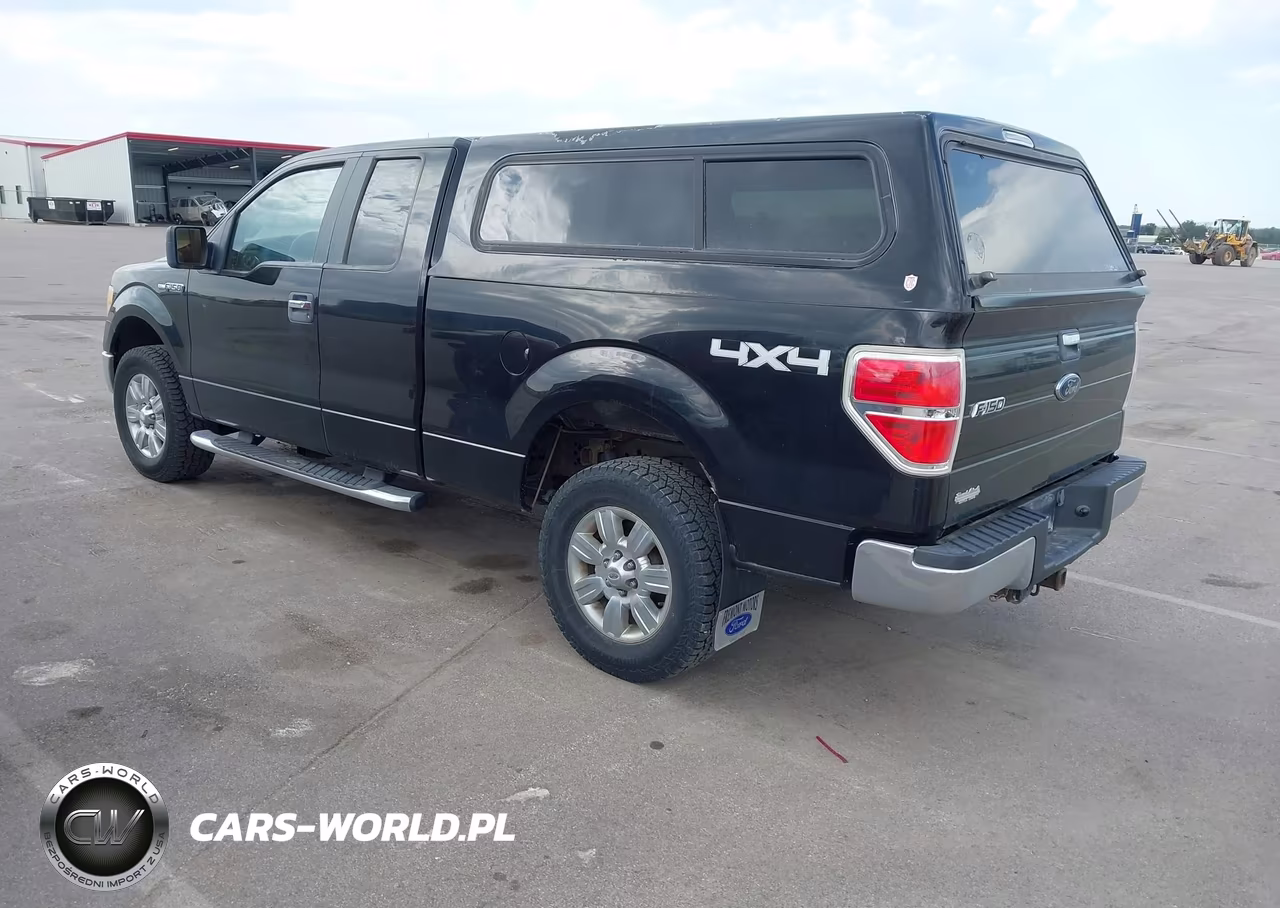 2010 Ford F-150 Stx-Xl-Xlt VIN:1FTEX1E86AKA77094 - 3