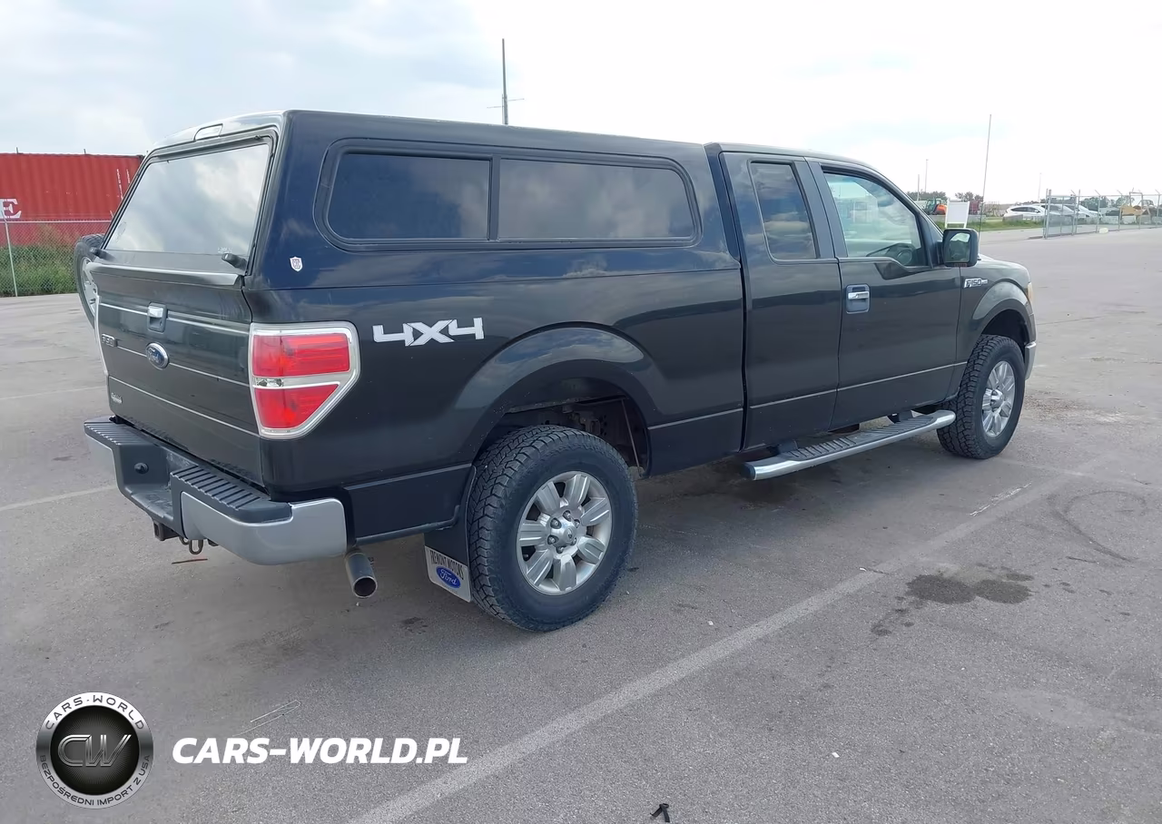 2010 Ford F-150 Stx-Xl-Xlt VIN:1FTEX1E86AKA77094 - 4