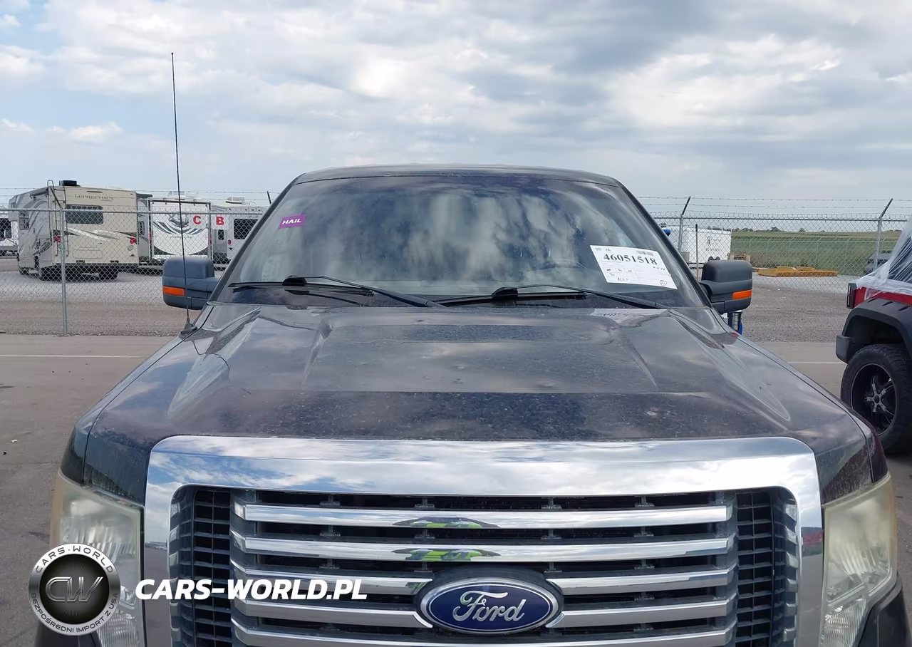 2010 Ford F-150 Stx-Xl-Xlt VIN:1FTEX1E86AKA77094 - 6