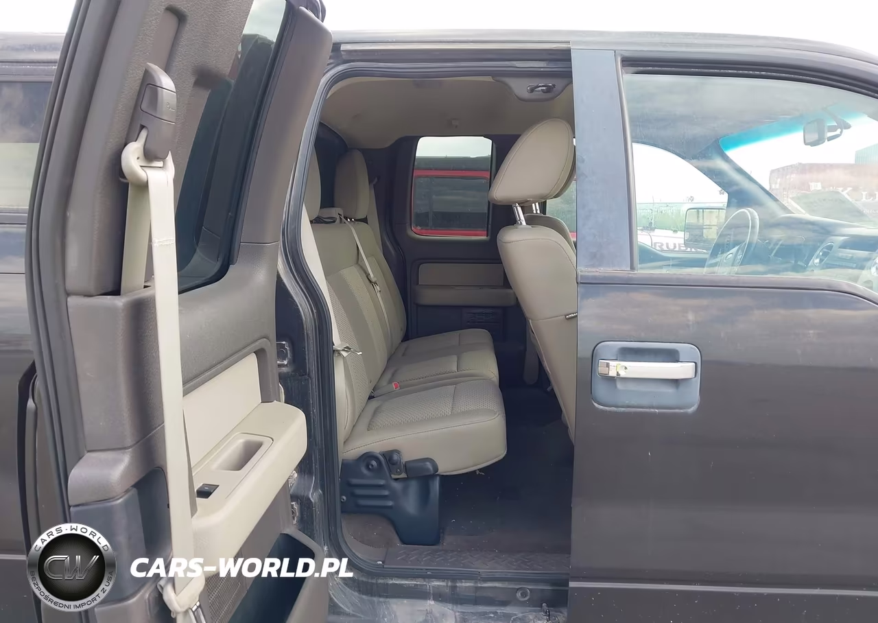 2010 Ford F-150 Stx-Xl-Xlt VIN:1FTEX1E86AKA77094 - 8