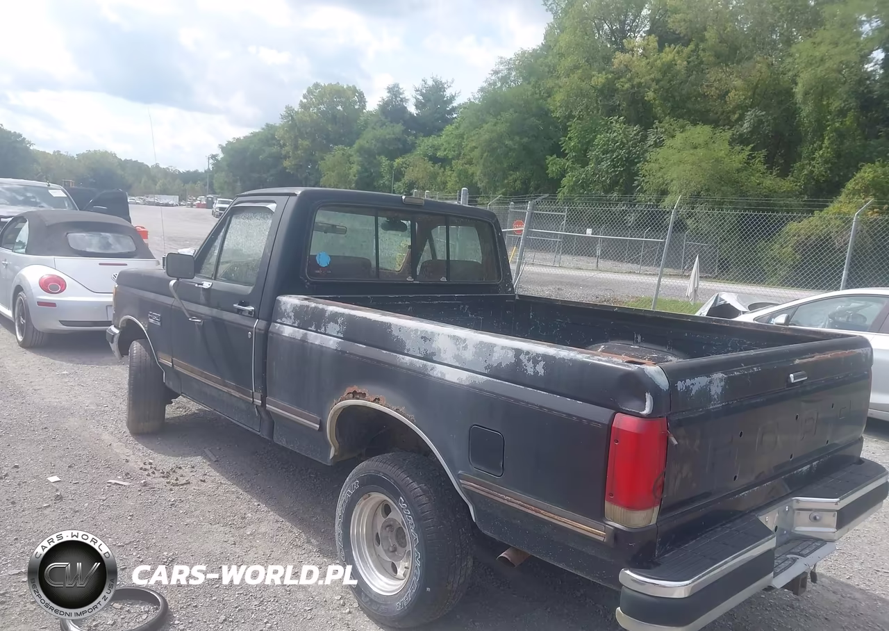 1990 Ford F150 VIN:1FTEF14NXLNA50511 - 3