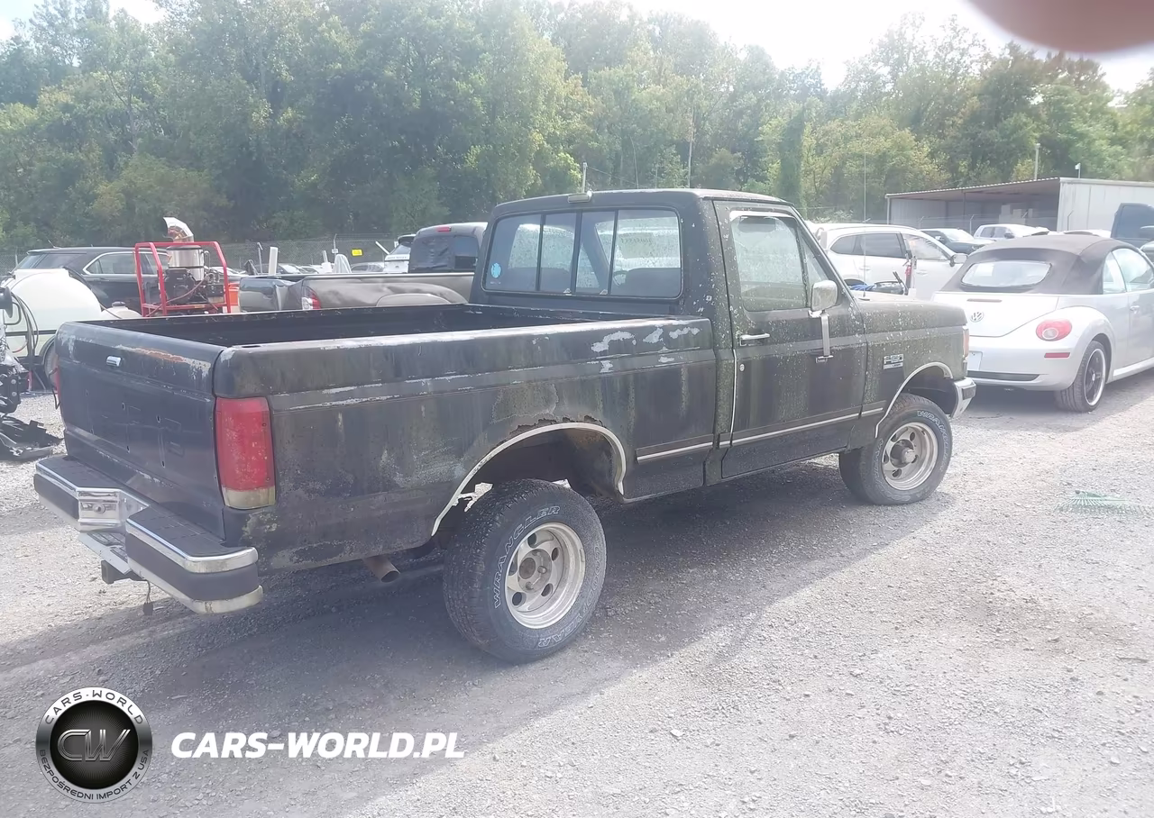 1990 Ford F150 VIN:1FTEF14NXLNA50511 - 4