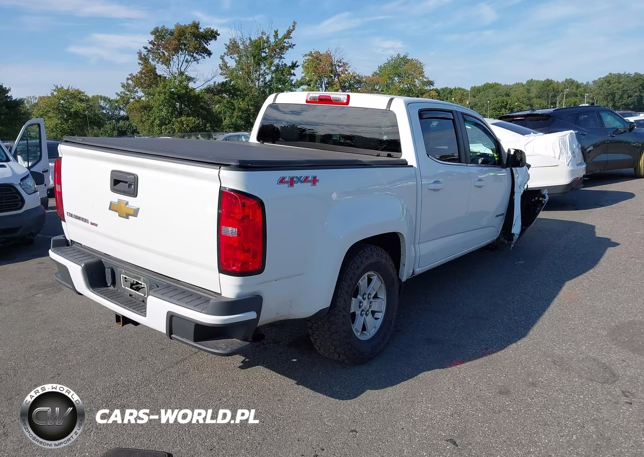 2020 Chevrolet Colorado 4Wd Short Box Wt VIN:1GCGTBEN1L1184921 - 4