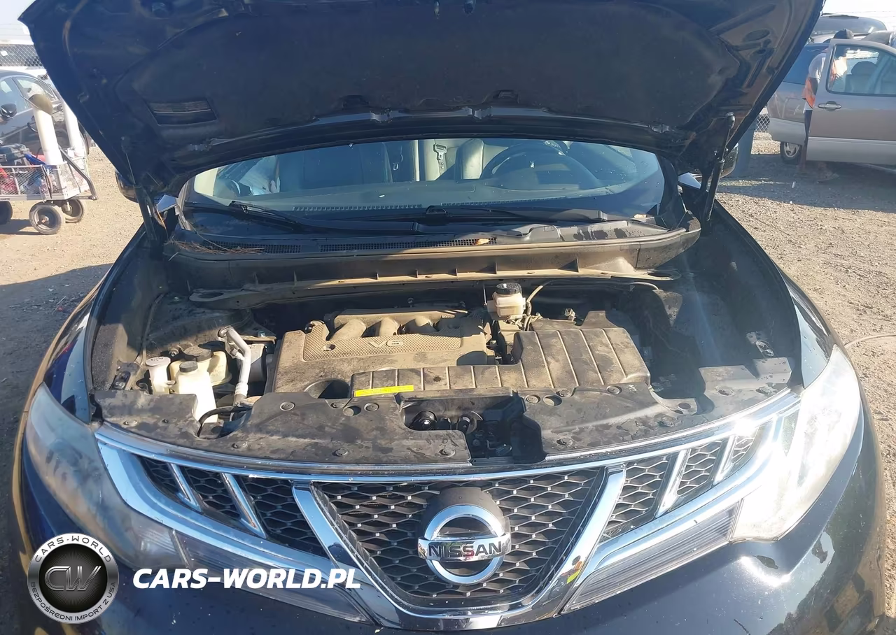 2014 Nissan Murano Crosscabriolet VIN:JN8AZ1FY9EW302389 - 10
