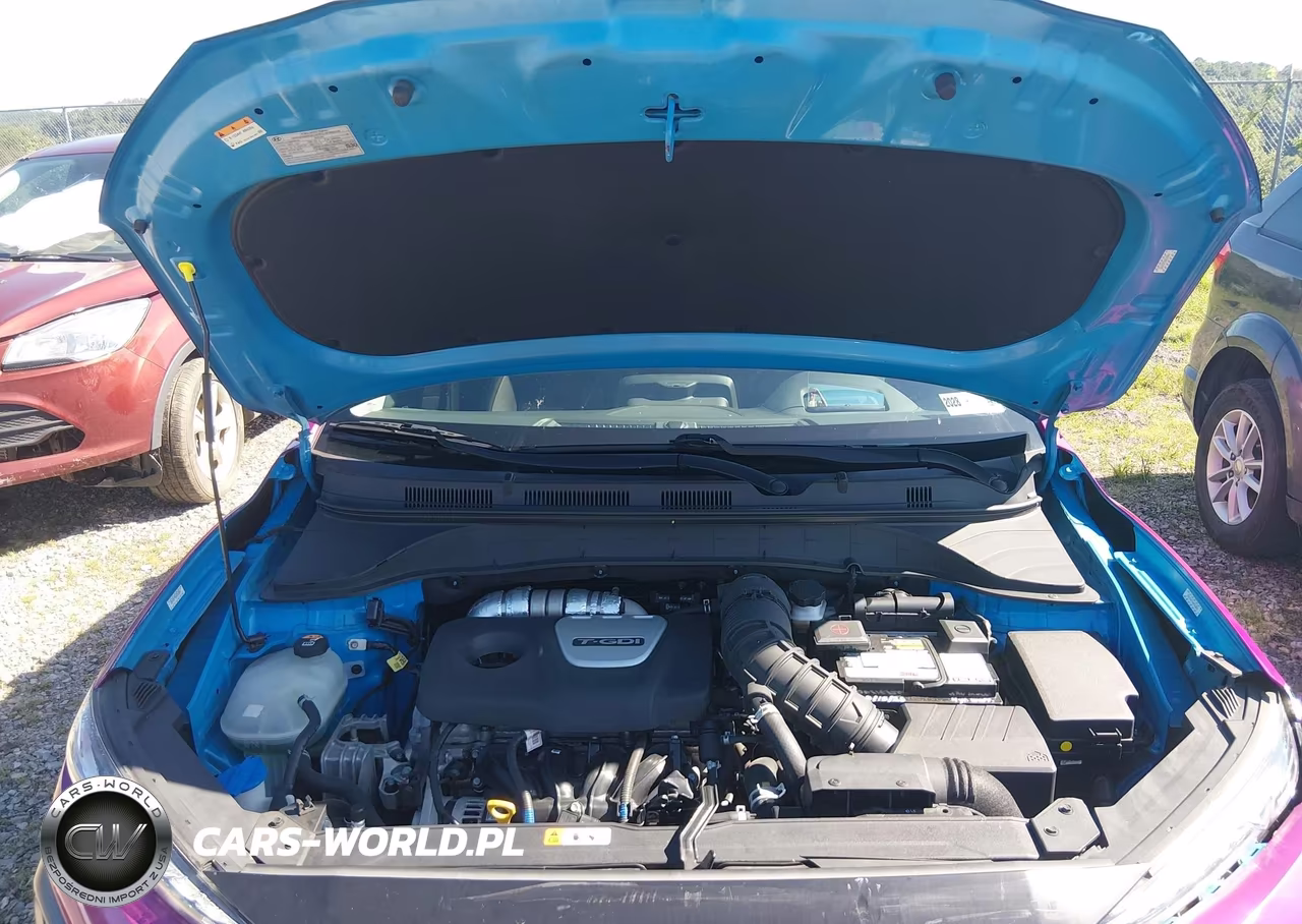 2020 Hyundai Kona Ultimate VIN:KM8K5CA59LU524357 - 10
