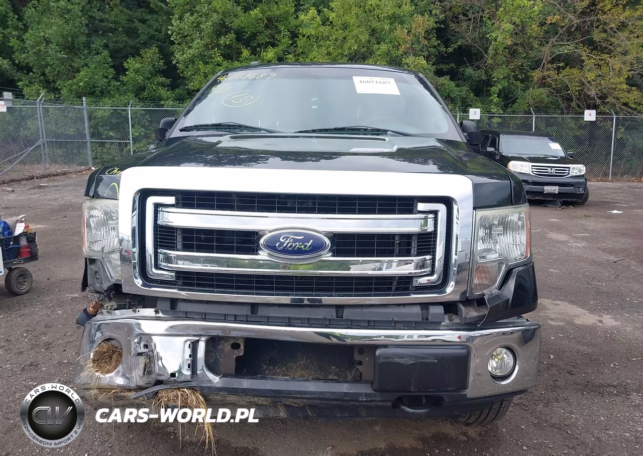 2014 Ford F-150 Xlt VIN:1FTEX1EM4EFB11416 - 12