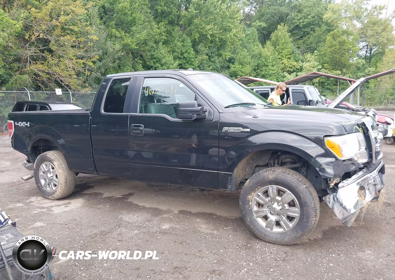 2014 Ford F-150 Xlt VIN:1FTEX1EM4EFB11416 - 13