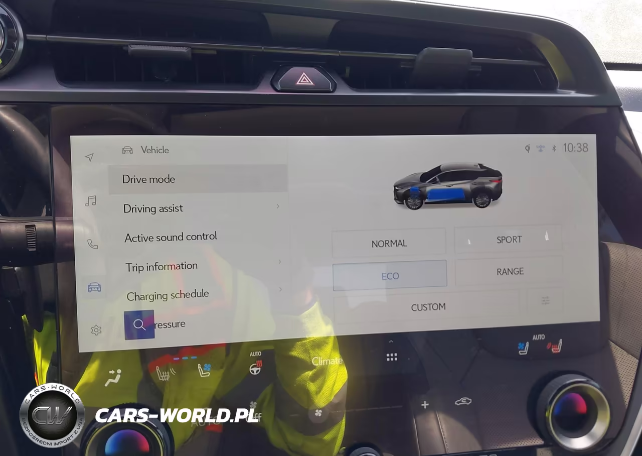 2024 Lexus Rz 300E Premium VIN:JTJABABB1RA005389 - 19
