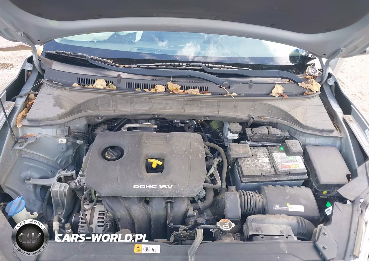 2019 Hyundai Kona Sel VIN:KM8K62AA2KU366852 - 10