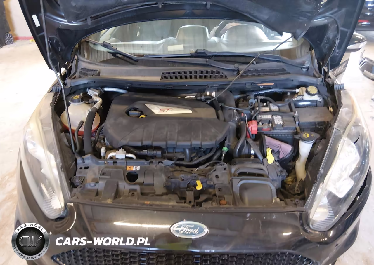 2014 Ford Fiesta St VIN:3FADP4GX7EM236405 - 10