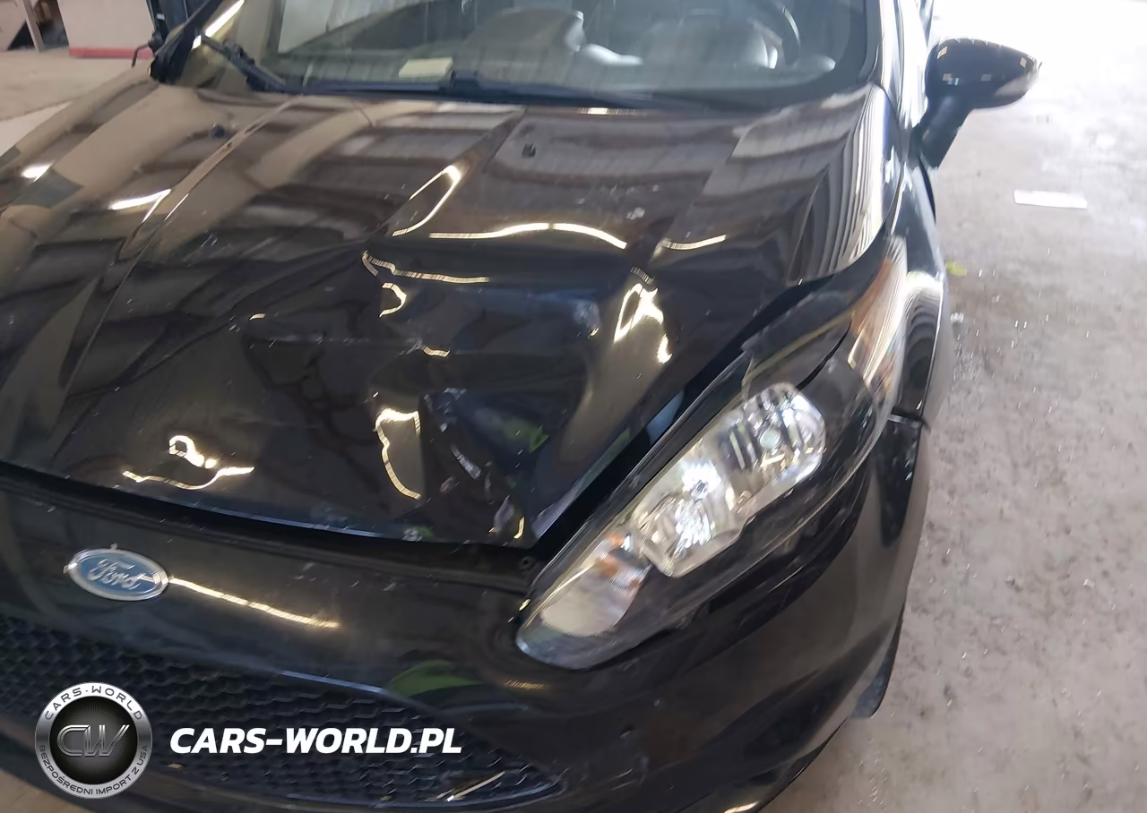2014 Ford Fiesta St VIN:3FADP4GX7EM236405 - 6