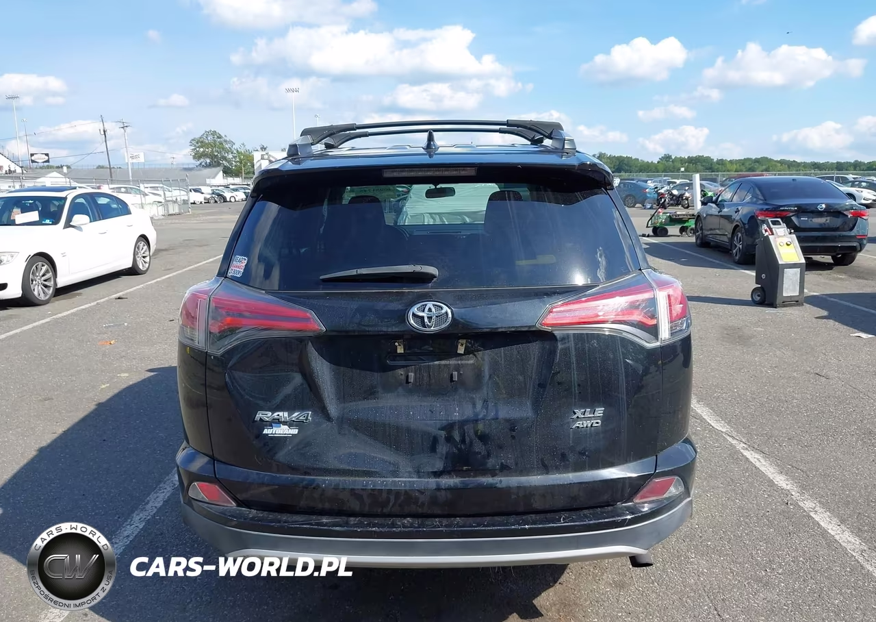 2016 Toyota Rav4 Xle VIN:2T3RFREV6GW517663 - 16