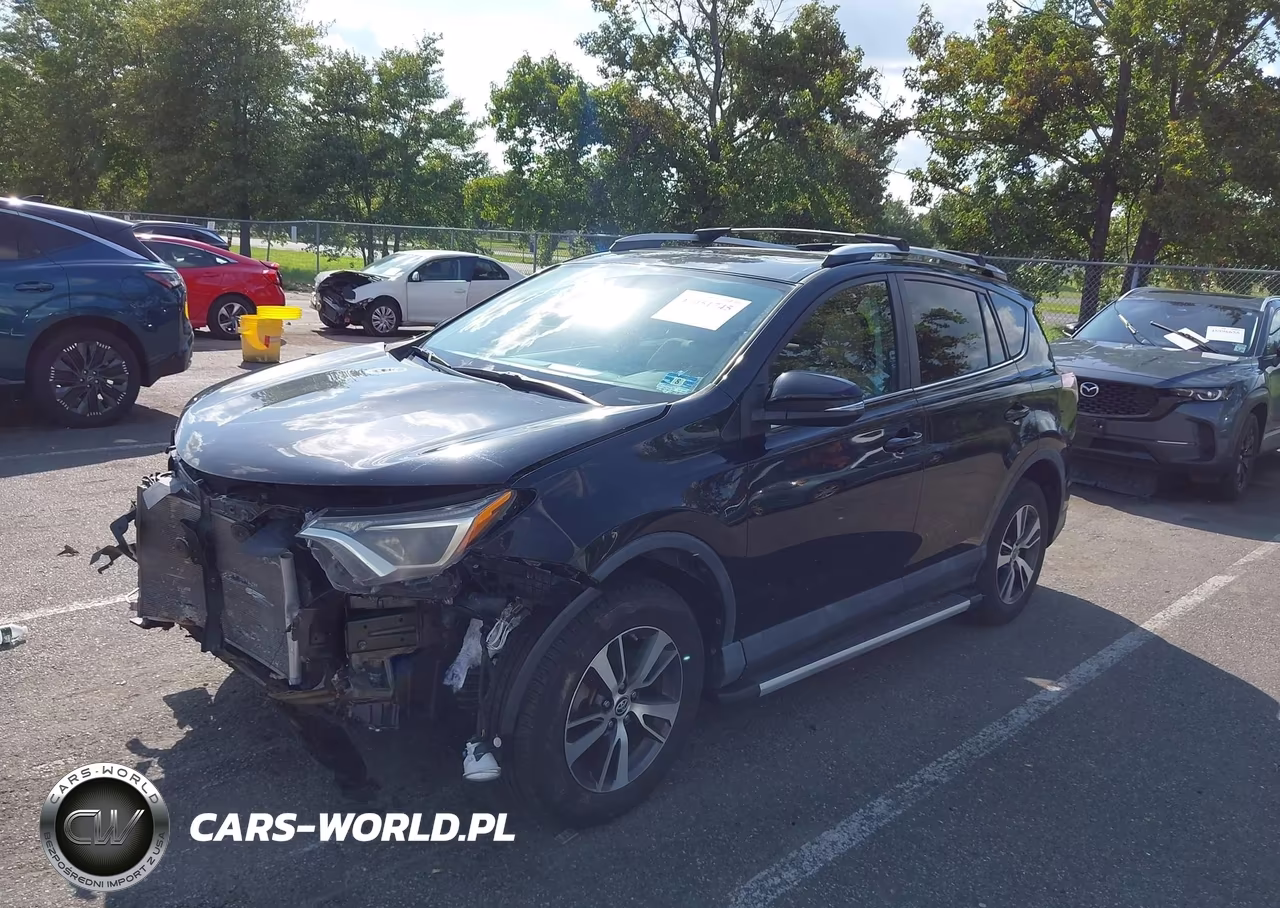 2016 Toyota Rav4 Xle VIN:2T3RFREV6GW517663 - 2