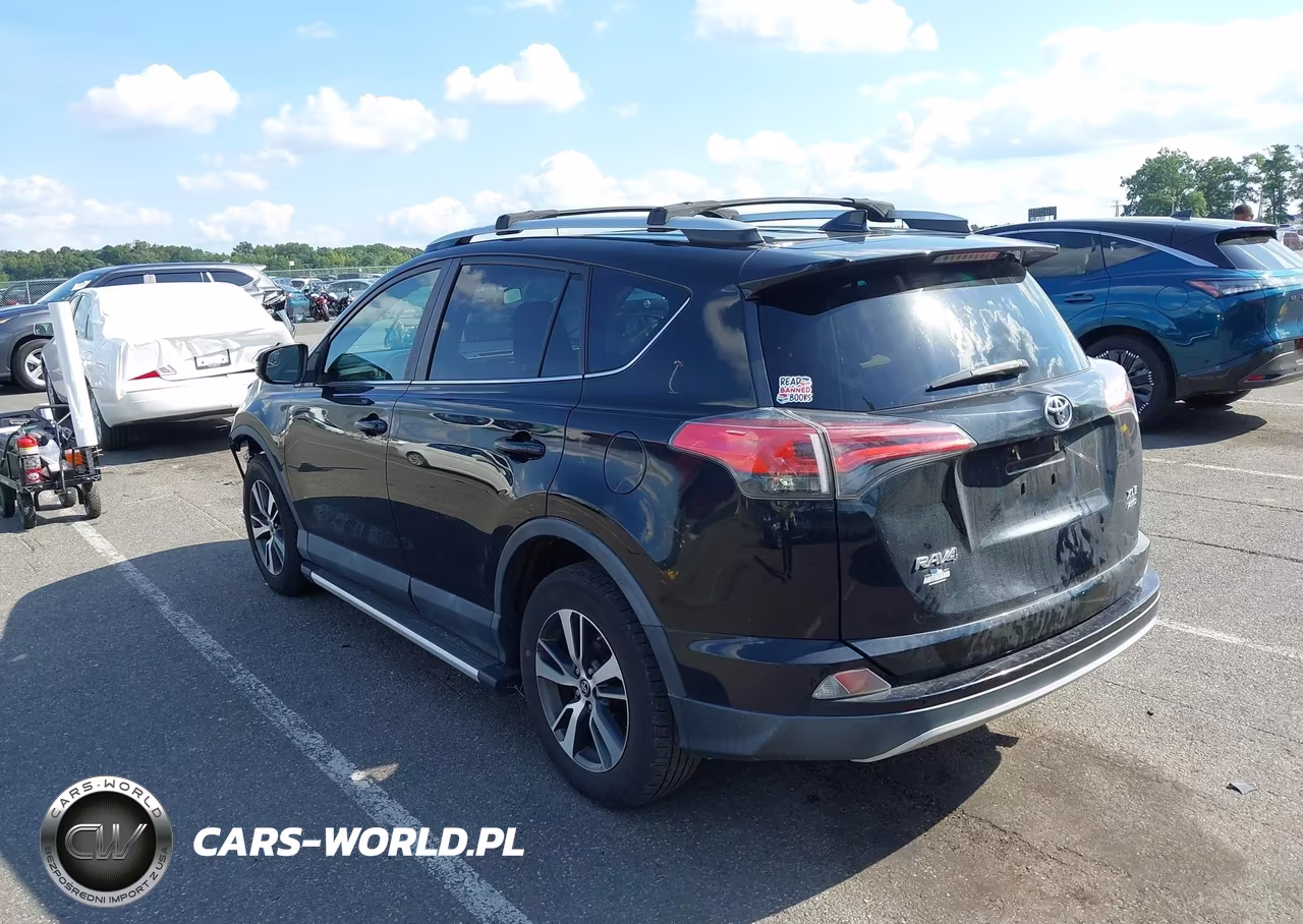 2016 Toyota Rav4 Xle VIN:2T3RFREV6GW517663 - 3