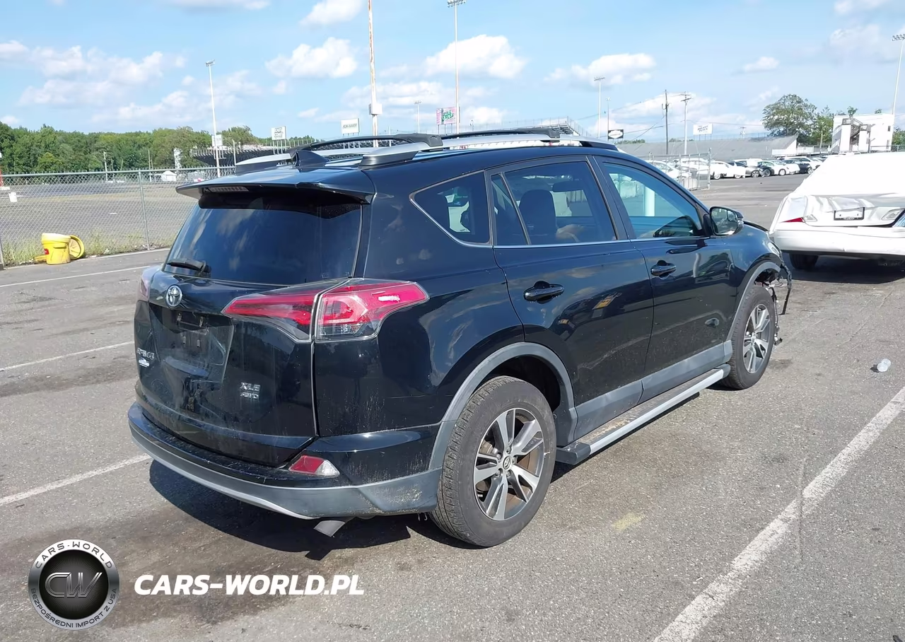 2016 Toyota Rav4 Xle VIN:2T3RFREV6GW517663 - 4