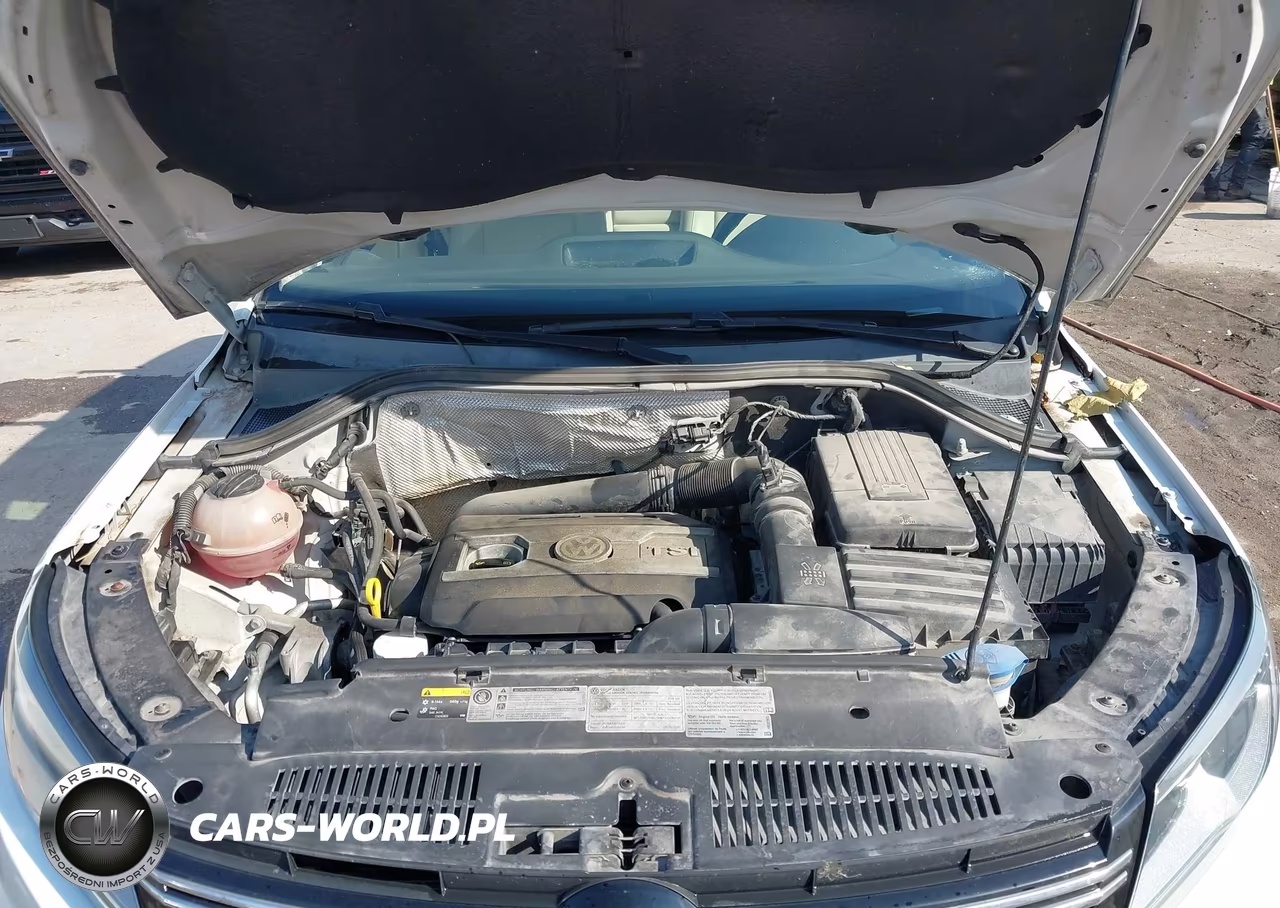 2016 Volkswagen Tiguan S VIN:WVGBV7AXXGW594243 - 10