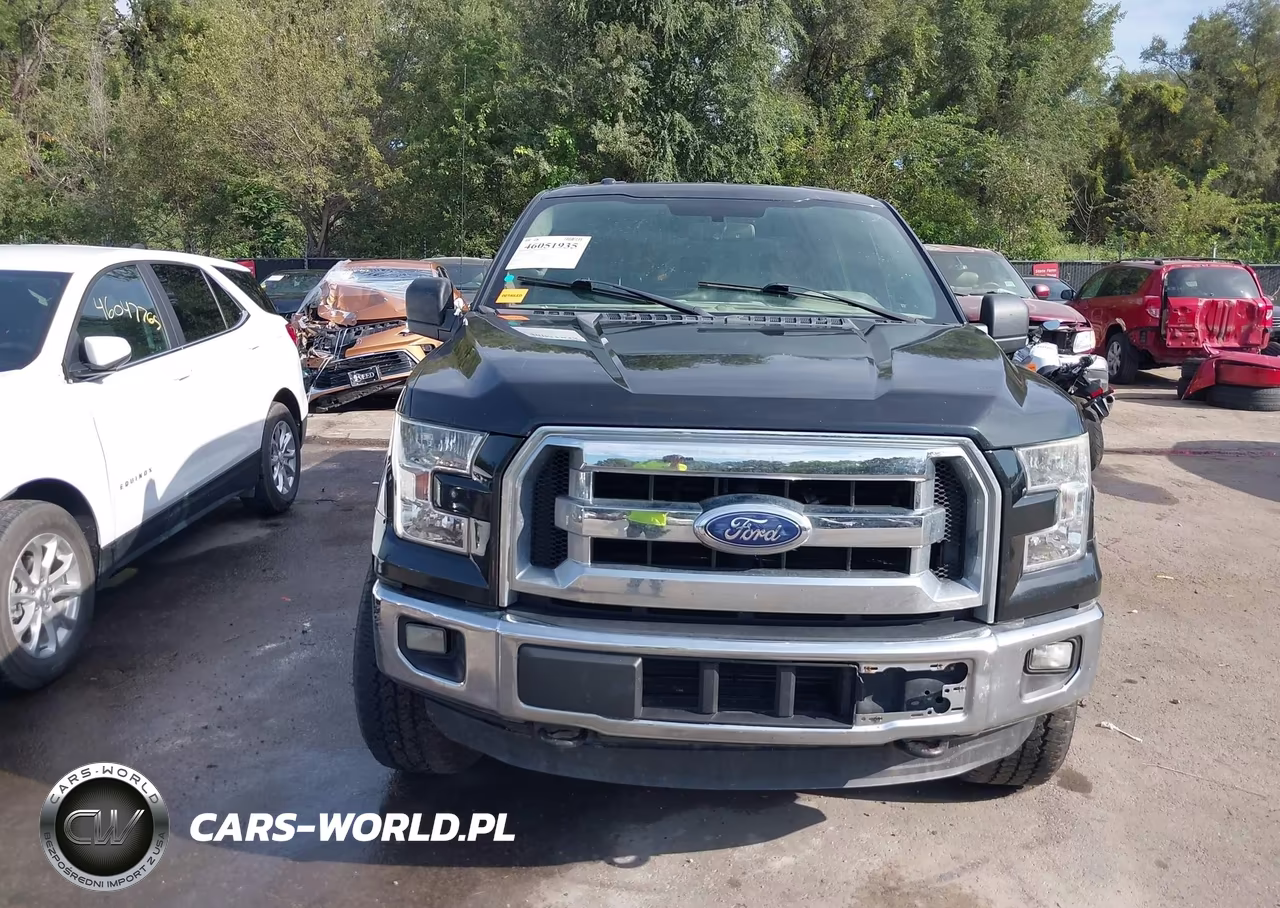 2015 Ford F-150 Xlt VIN:1FTEW1EG4FKE62686 - 12
