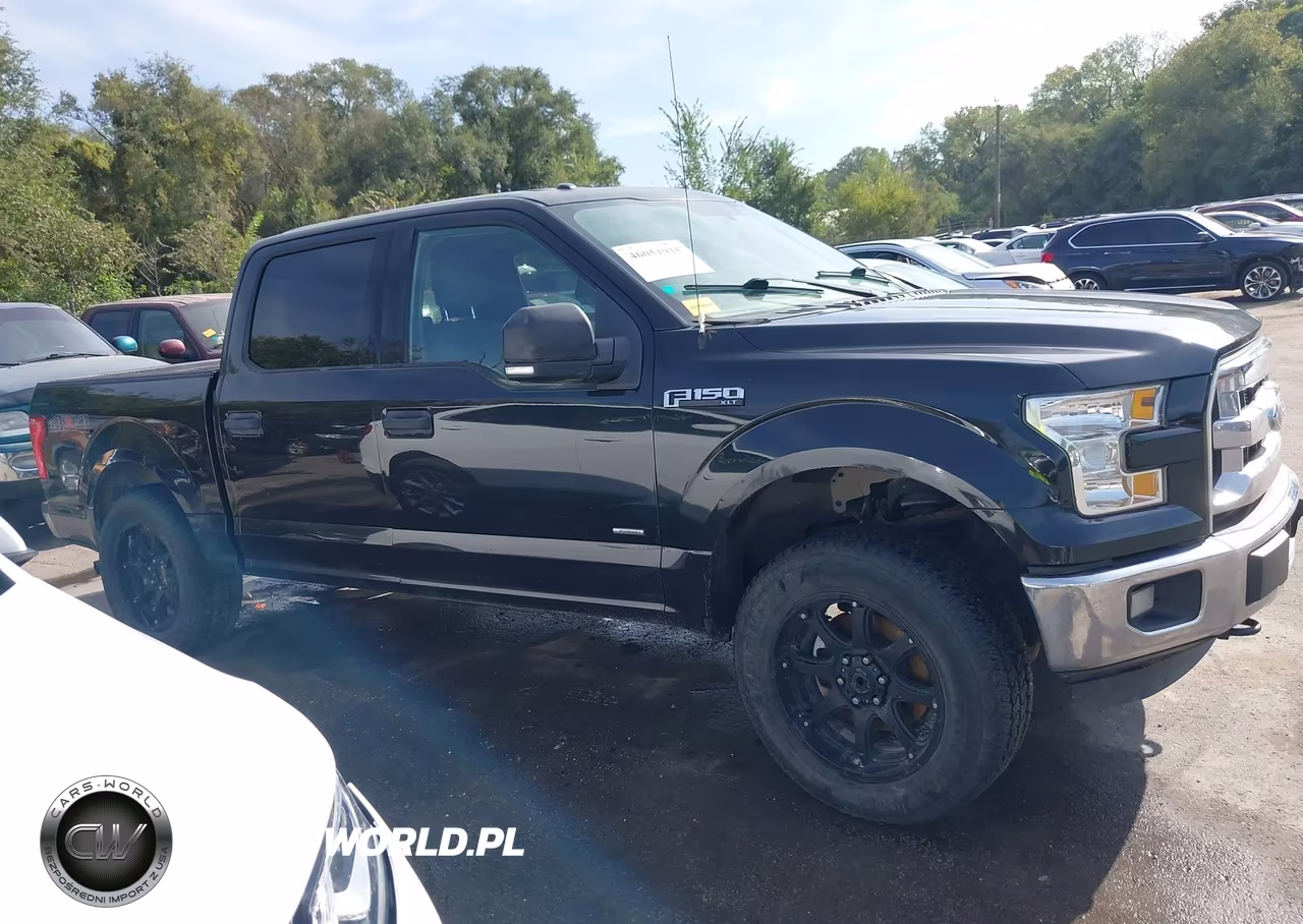 2015 Ford F-150 Xlt VIN:1FTEW1EG4FKE62686 - 13