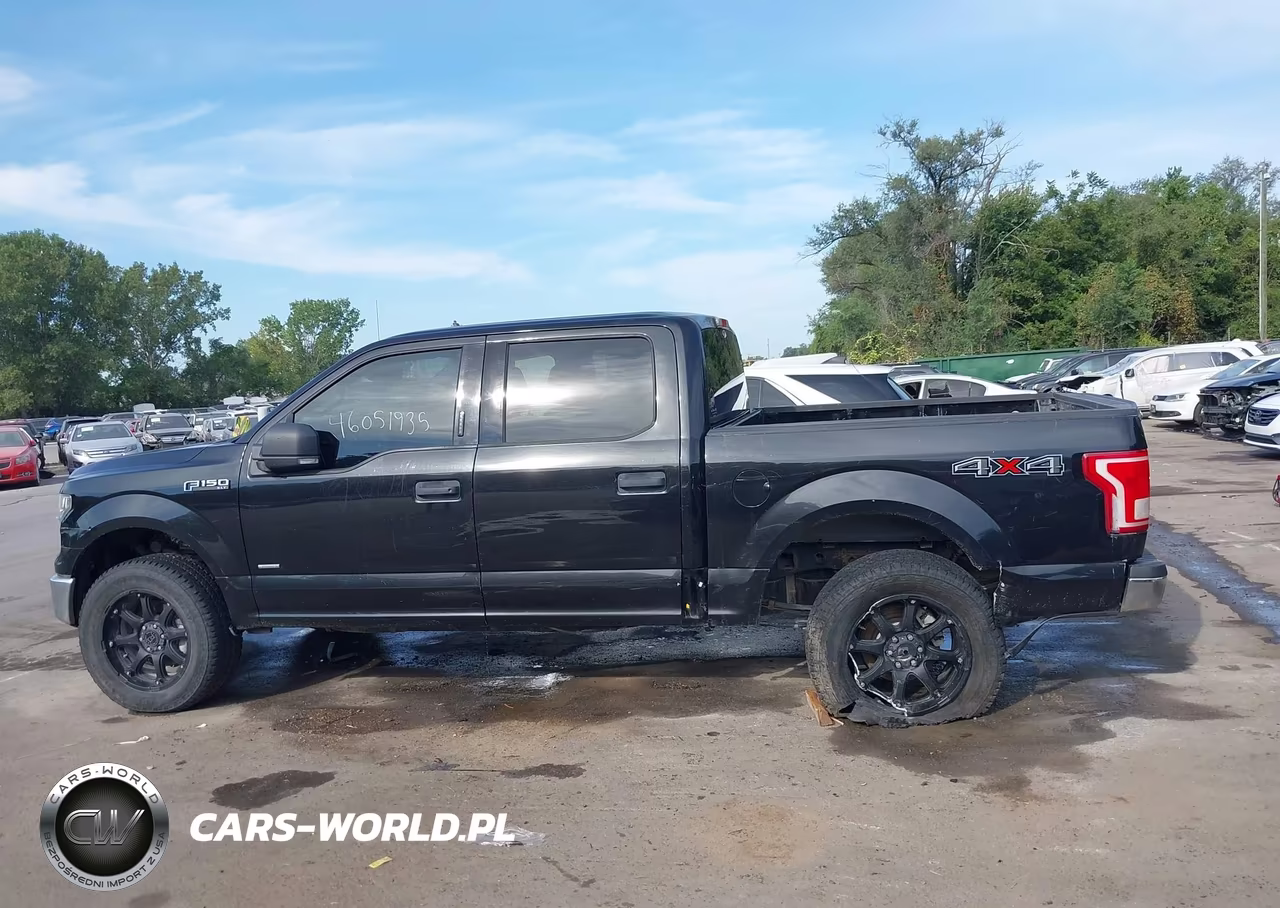 2015 Ford F-150 Xlt VIN:1FTEW1EG4FKE62686 - 14