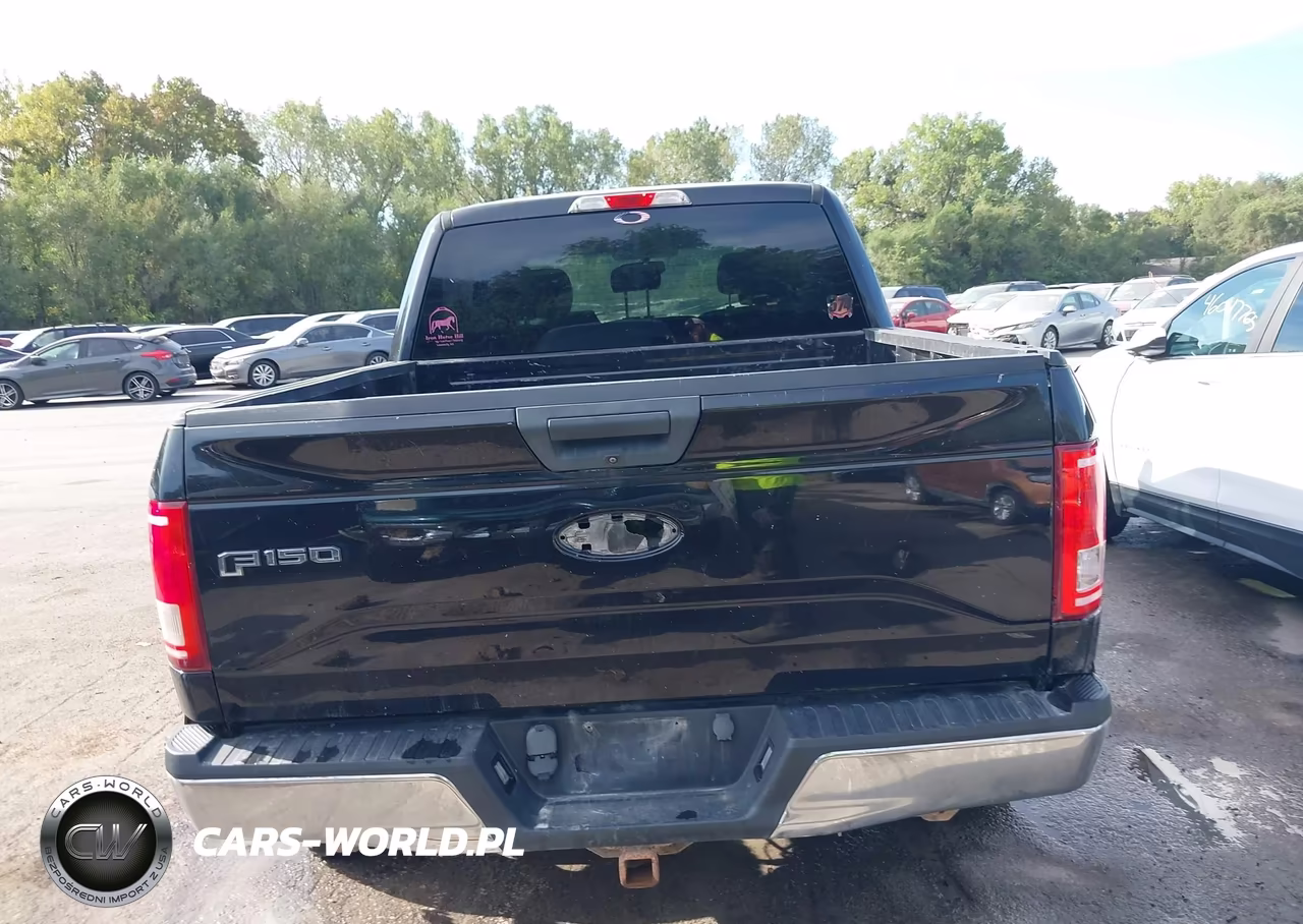 2015 Ford F-150 Xlt VIN:1FTEW1EG4FKE62686 - 16