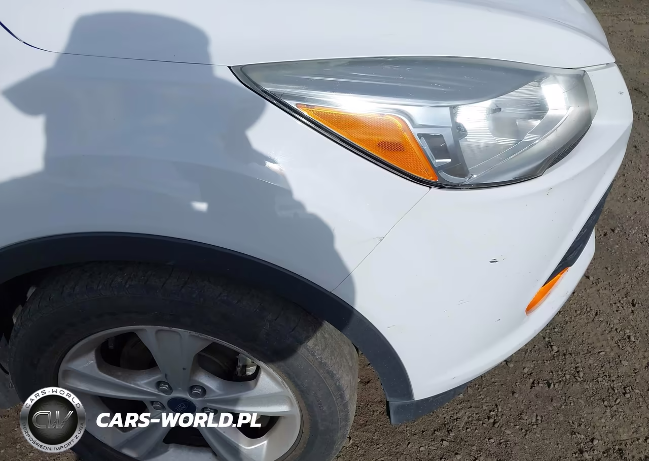 2015 Ford Escape S VIN:1FMCU0F73FUA63273 - 12