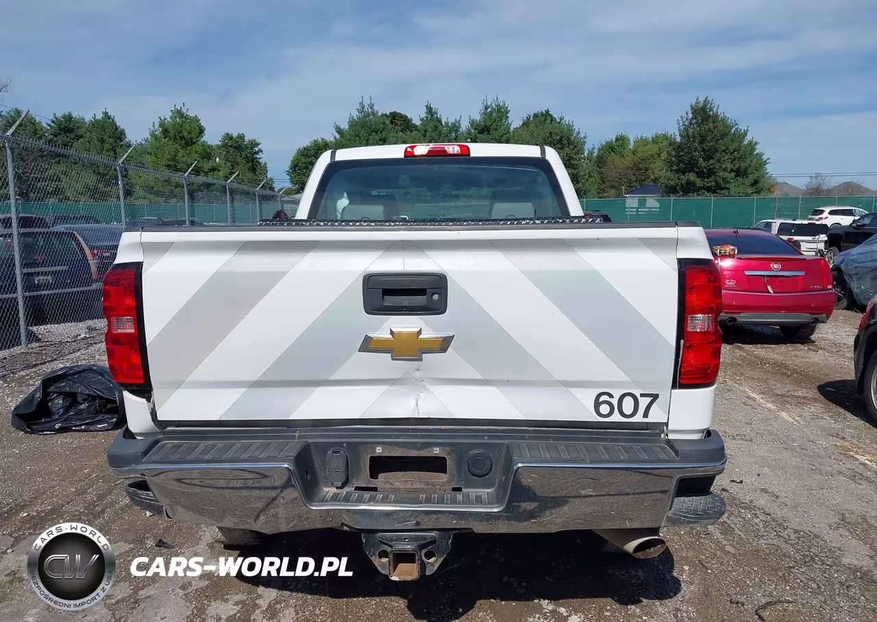 2018 Chevrolet Silverado 2500Hd Wt VIN:1GC2KUEGXJZ146628 - 17