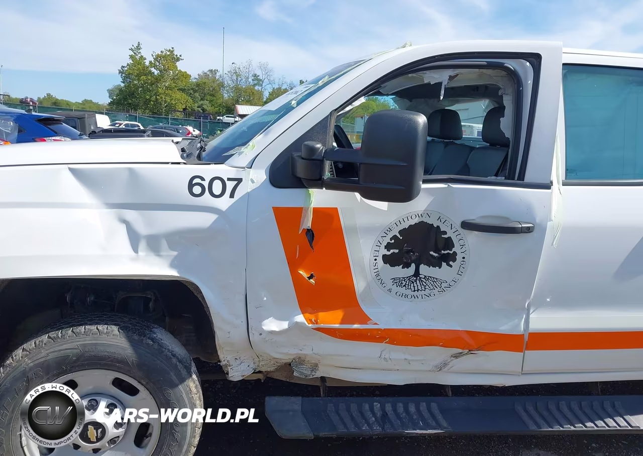 2018 Chevrolet Silverado 2500Hd Wt VIN:1GC2KUEGXJZ146628 - 18