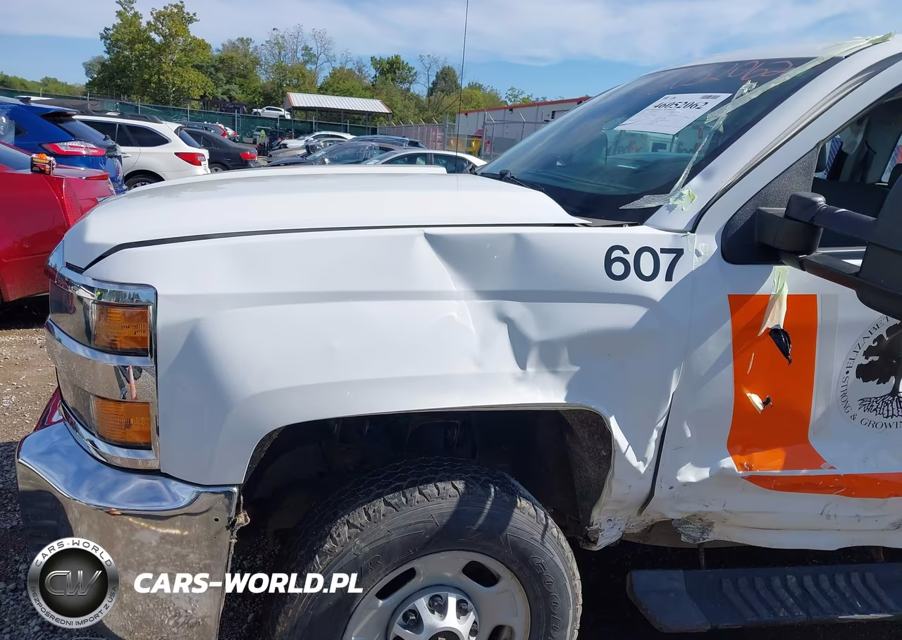 2018 Chevrolet Silverado 2500Hd Wt VIN:1GC2KUEGXJZ146628 - 6