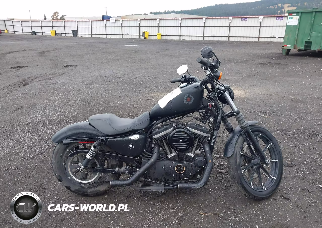 2021 Harley-Davidson Xl883 N VIN:1HD4LE211MB406826 - 12