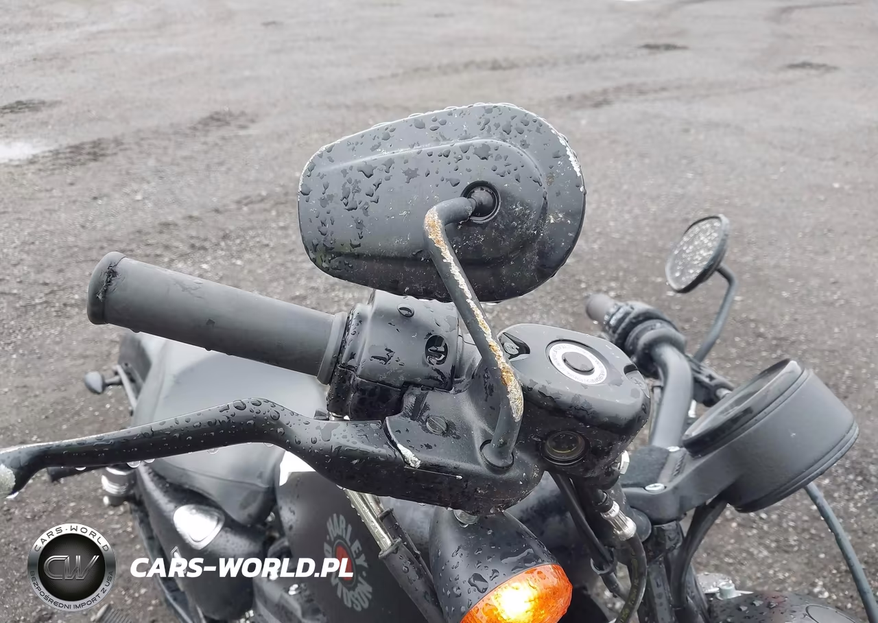 2021 Harley-Davidson Xl883 N VIN:1HD4LE211MB406826 - 14
