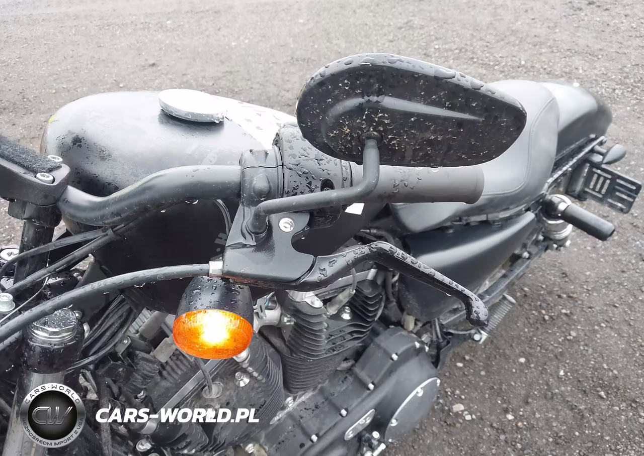 2021 Harley-Davidson Xl883 N VIN:1HD4LE211MB406826 - 15