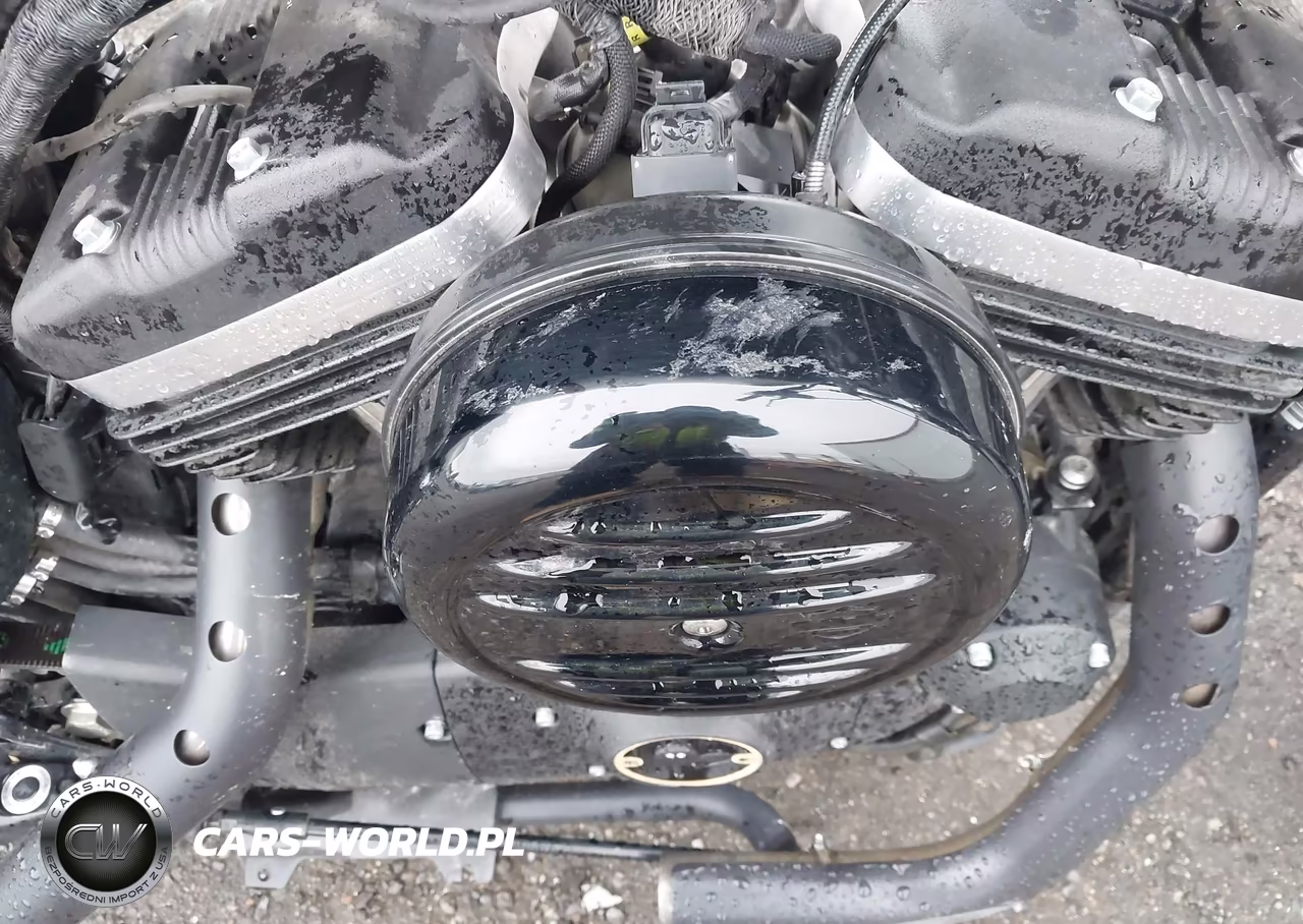 2021 Harley-Davidson Xl883 N VIN:1HD4LE211MB406826 - 17