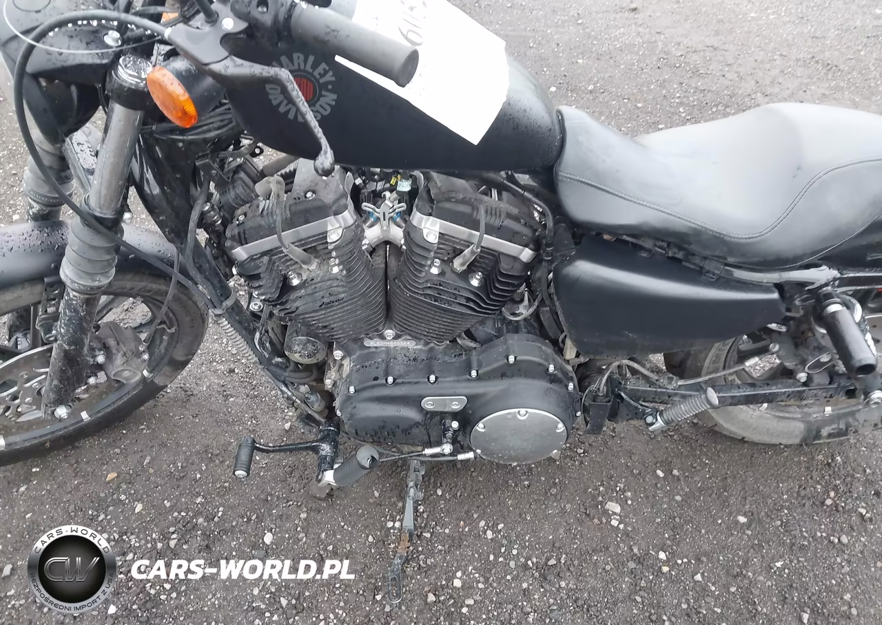 2021 Harley-Davidson Xl883 N VIN:1HD4LE211MB406826 - 9