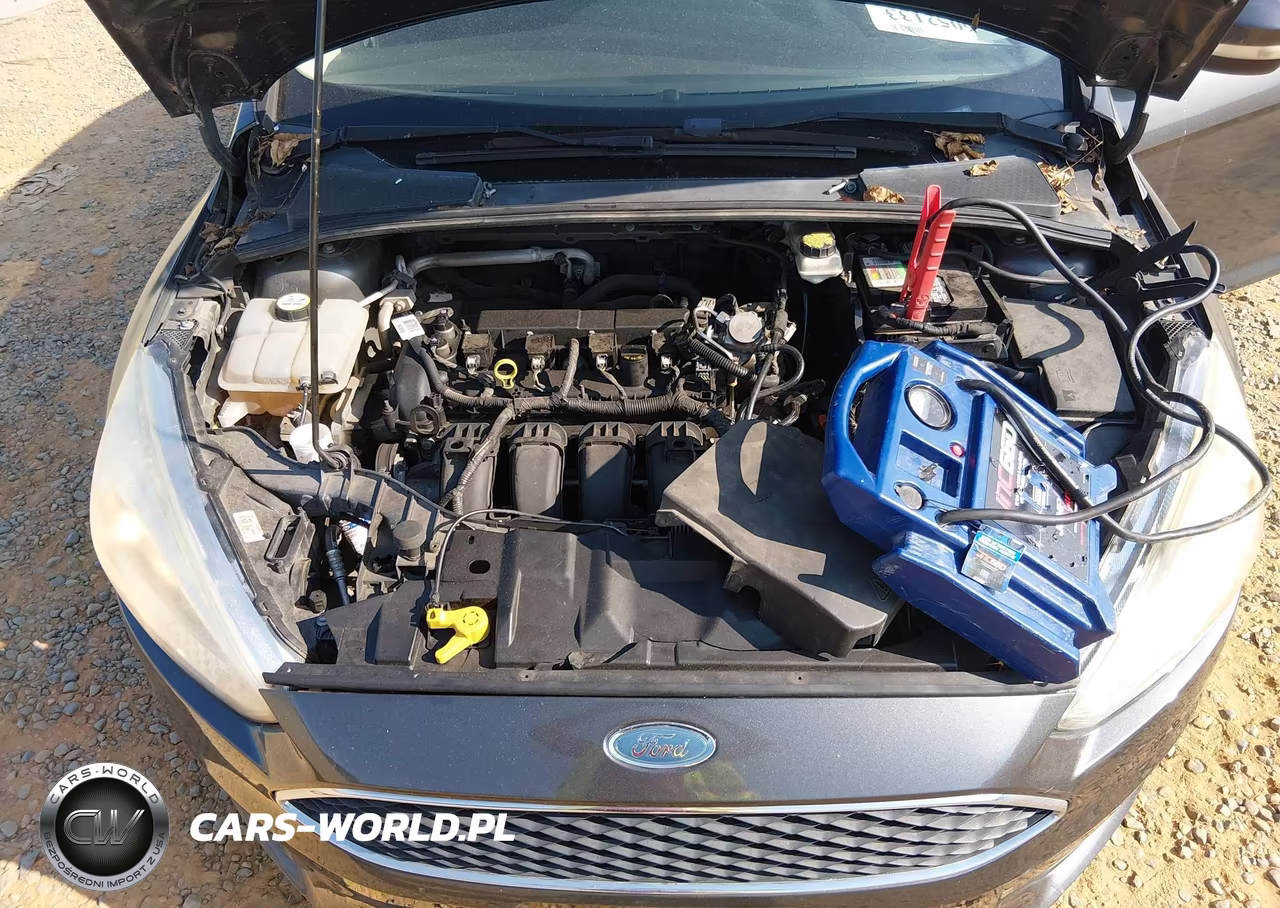 2017 Ford Focus Se VIN:1FADP3F22HL237824 - 10