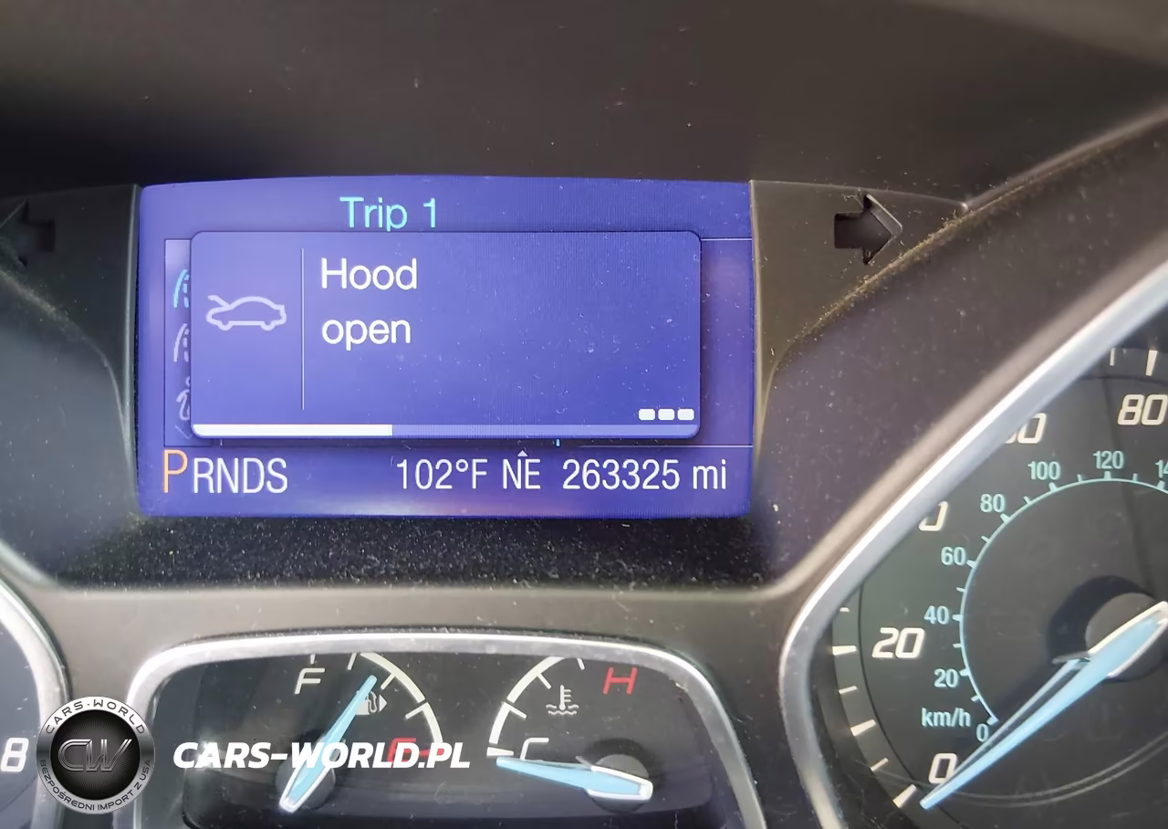2013 Ford Focus Se VIN:1FADP3F22DL237140 - 15