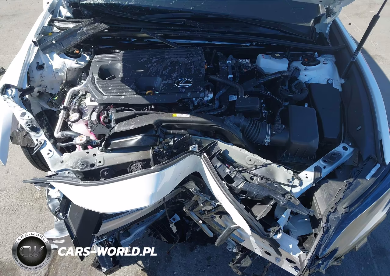 2025 Lexus Es 300H Luxury VIN:58AEA1C18SU076952 - 10