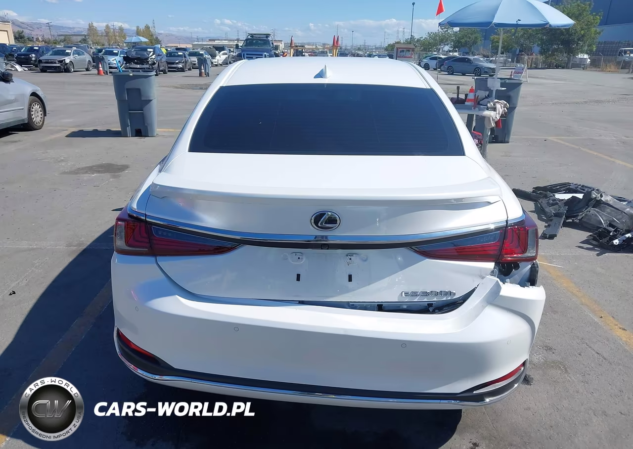 2025 Lexus Es 300H Luxury VIN:58AEA1C18SU076952 - 17