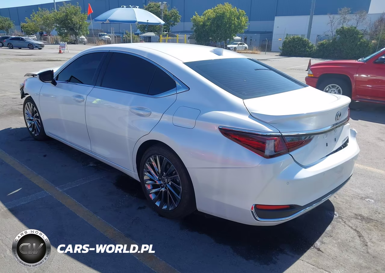 2025 Lexus Es 300H Luxury VIN:58AEA1C18SU076952 - 3