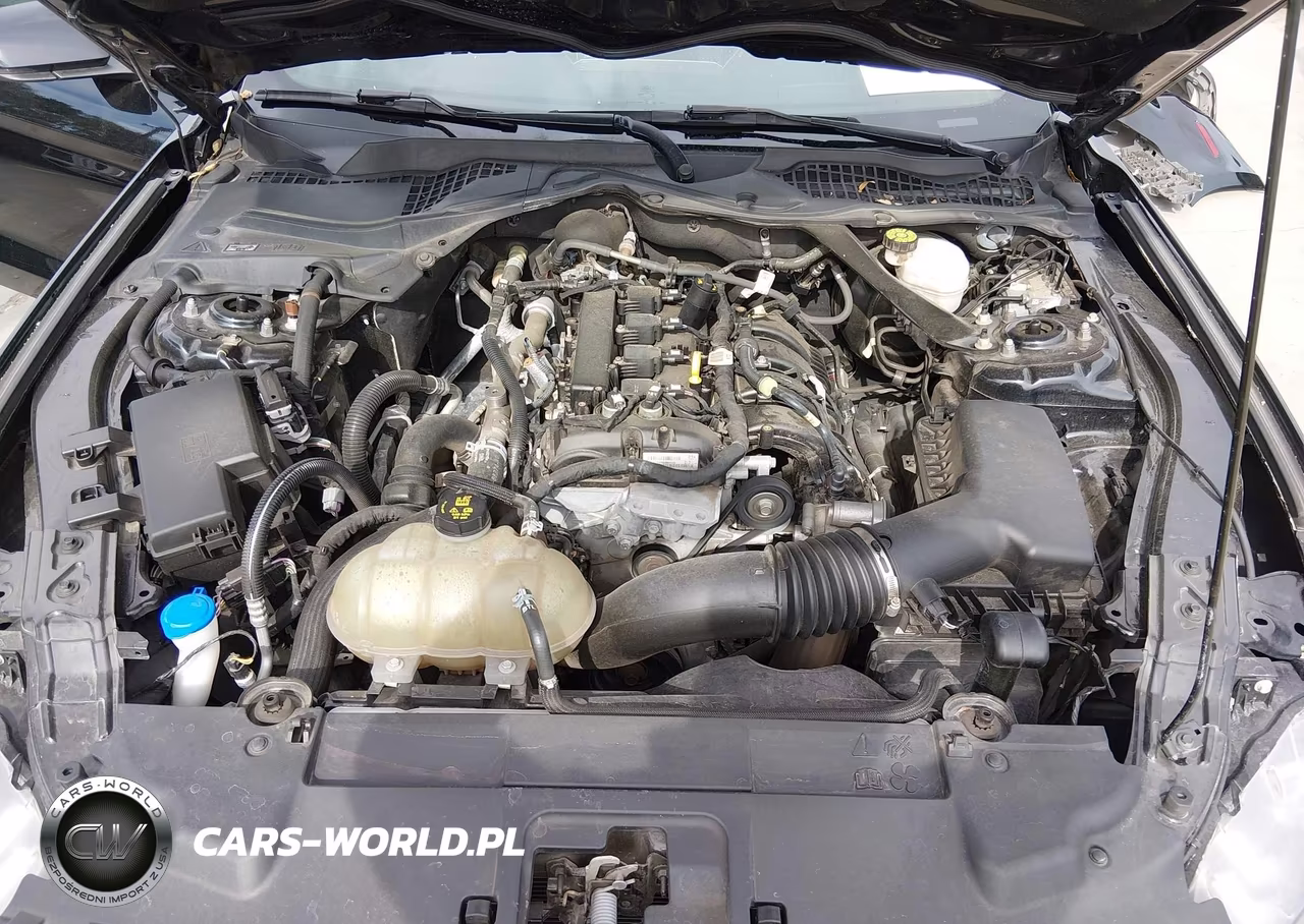 2022 Ford Mustang Ecoboost Premium VIN:1FATP8UH5N5122439 - 10
