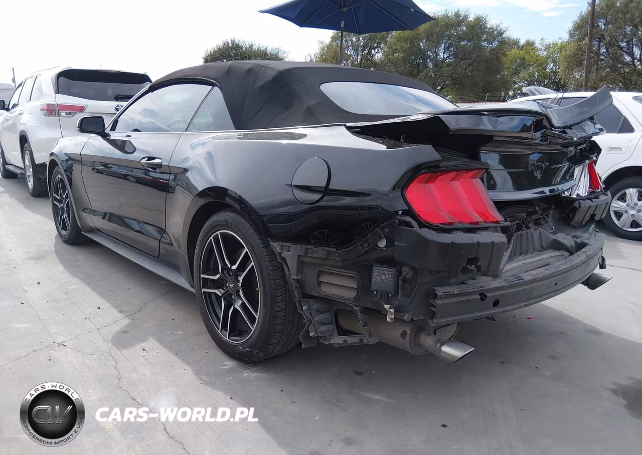 2022 Ford Mustang Ecoboost Premium VIN:1FATP8UH5N5122439 - 3